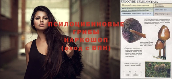трава Покачи