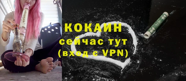 трава Покачи