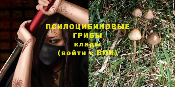 трава Покачи