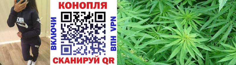 Канабис планчик  Семёнов 